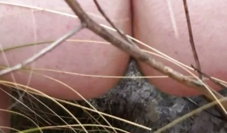 Pukulan atas mereka adalah anak sekolah indo sex janda dan tersentak keras kontol