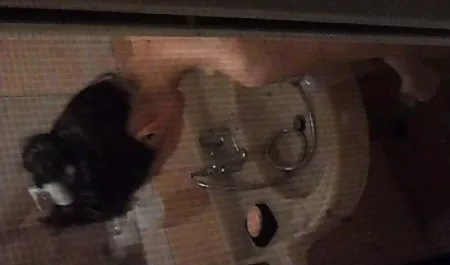 Pertama kalinya saya pendatang baru Pamela Morrison pertama kali indo porn videos anal