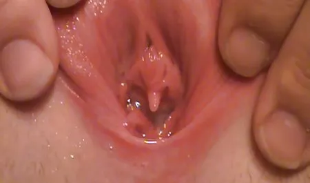 Lesbian xxx viral indo Grinding Di Atas Satu Sama Lain