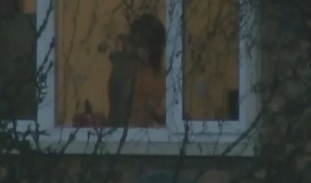 Moms indo porn hd gone wild-ibu suck-fuck slurps pelacur muncrat