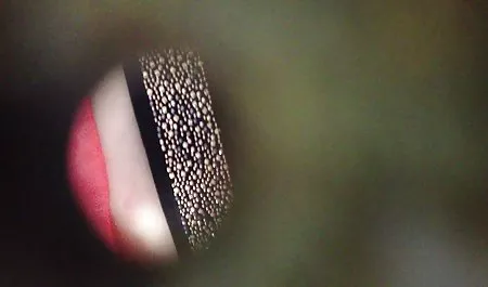 Perunggu Indah Keindahan India Terbuka Dan Telanjang sex artis indonesia video Di Depan Kami