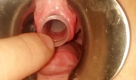 Toon 3D xxx indo tube